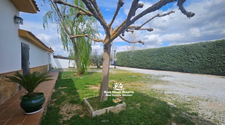 Jaén - Pozo Alcón - 7980m2