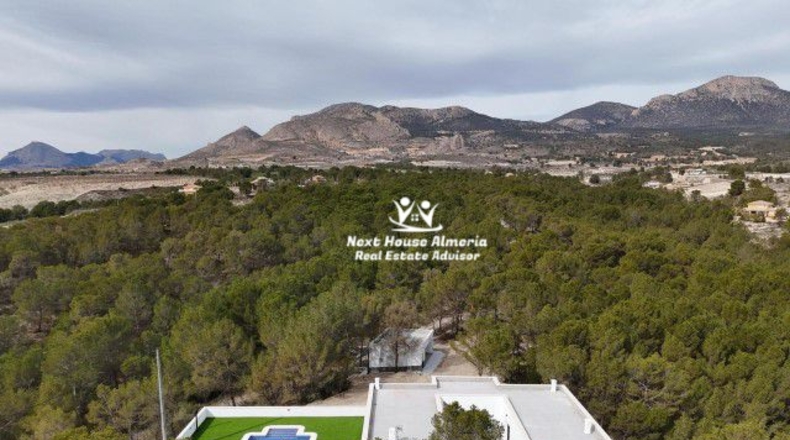 Murcia - Lorca - 20000m2