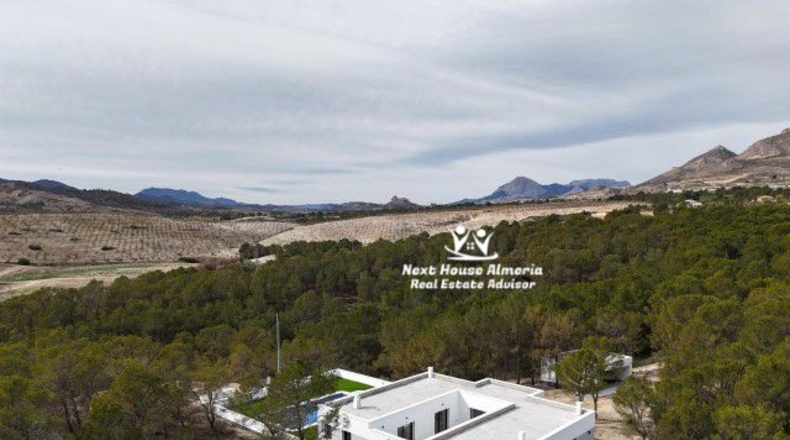 Murcia - Lorca - 20000m2