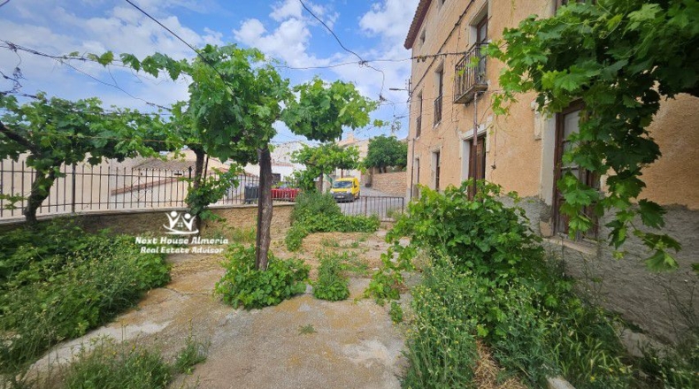 Granada - Cúllar - 555m2