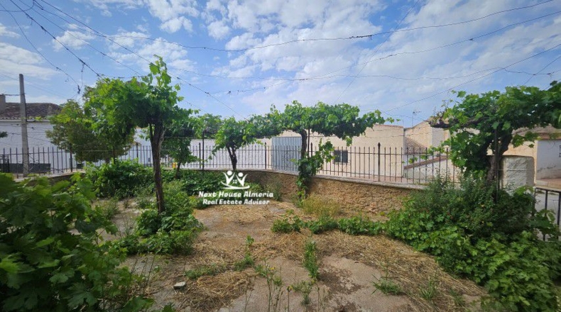Granada - Cúllar - 555m2