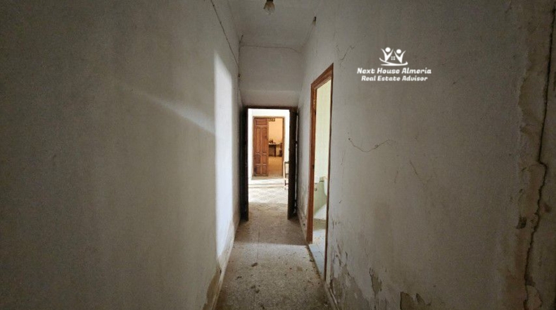 Granada - Cúllar - 555m2