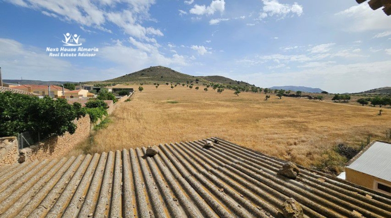 Granada - Cúllar - 555m2