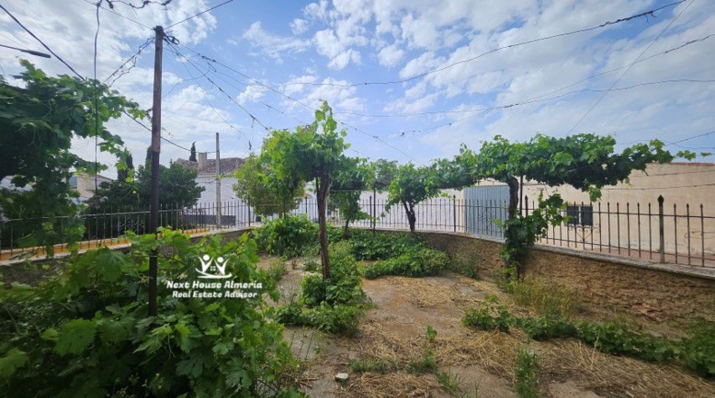 Granada - Cúllar - 555m2