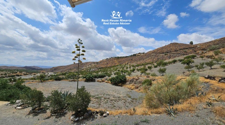 Almeria - Taberno - 55601m2