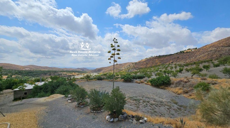 Almeria - Taberno - 55601m2