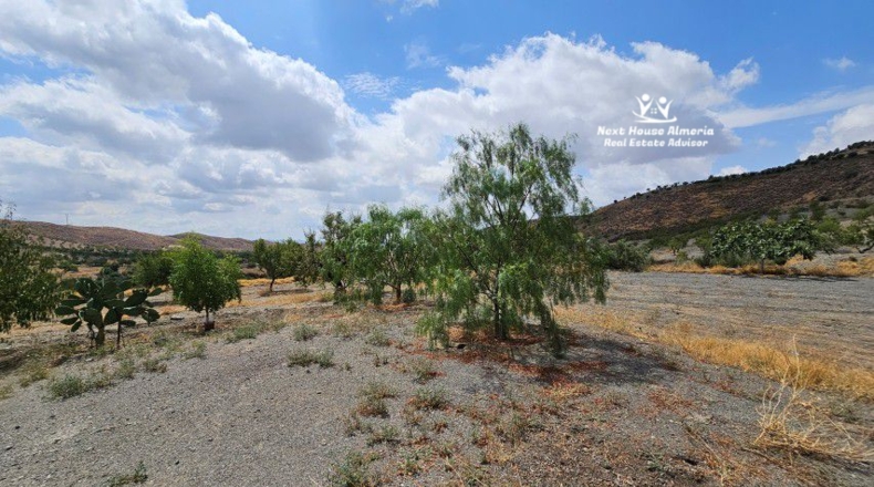 Almeria - Taberno - 55601m2