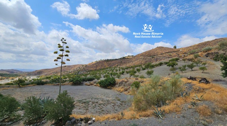 Almeria - Taberno - 55601m2