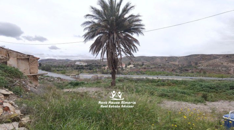 Almería - Albox - 450m2