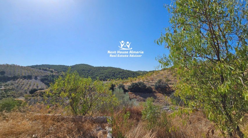 Almeria - Oria - 3300m2