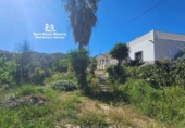 Casa de camp amb terreny en venda a Almanzora ref.: TR363386 foto
