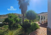 Casa de camp amb terreny en venda a Almanzora ref.: TR363386 foto