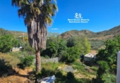 Casa de camp amb terreny en venda a Almanzora ref.: TR363386 foto