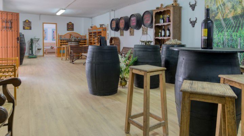 Málaga - Mijas - 1285m2