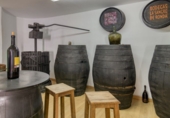 Vil·la amb terreny en venda a Mijas ref.: TR264285 foto