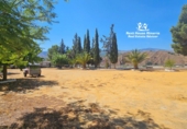 Casa de camp amb terreny en venda a Purchena ref.: TR339540 foto