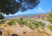Casa de camp amb terreny en venda a Purchena ref.: TR339540 foto