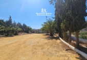 Casa de camp amb terreny en venda a Purchena ref.: TR339540 foto