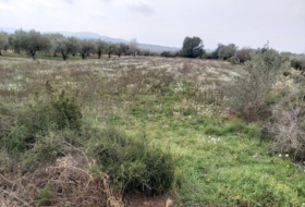 la Jana 6312&nbsp;м²