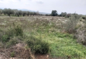 Non-developable land for sale in la Jana ref: TR33939 photo