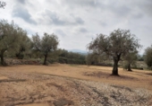 Non-developable land for sale in la Jana ref: TR33939 photo