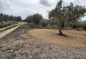 Non-developable land for sale in la Jana ref: TR33939 photo