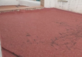 Casa de pueblo en venta en Canet lo Roig ref: TR63296 foto