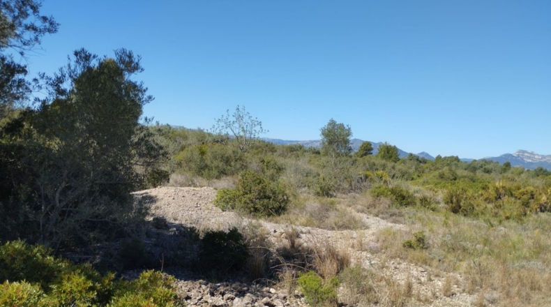 Castellón - Traiguera - 35008m2