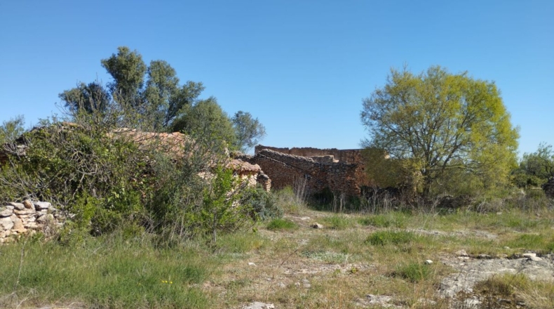 Castellón - Traiguera - 35008m2