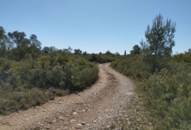 Foto 12
