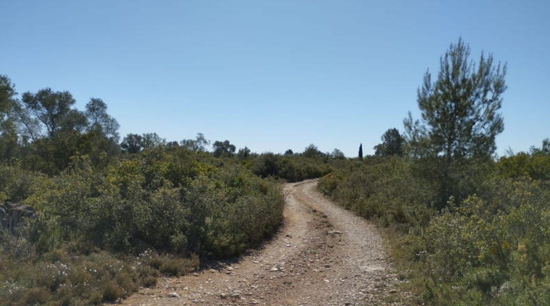 Castellón - Traiguera - 35008m2