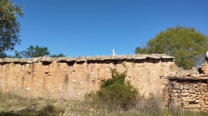 Castellón - Traiguera - 35008m2