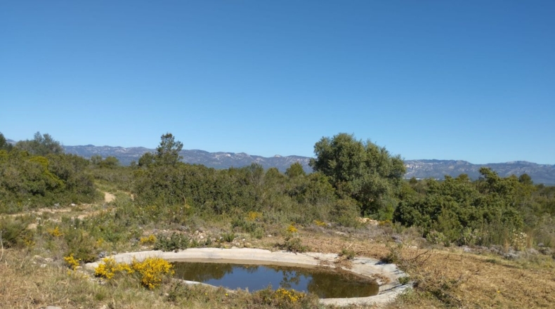 Castellón - Traiguera - 35008m2