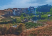 Parcel·la urbanitzable en venda a Xert ref.: TR99364 foto