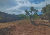Parcel·la urbanitzable en venda a Xert ref.: TR99364 foto