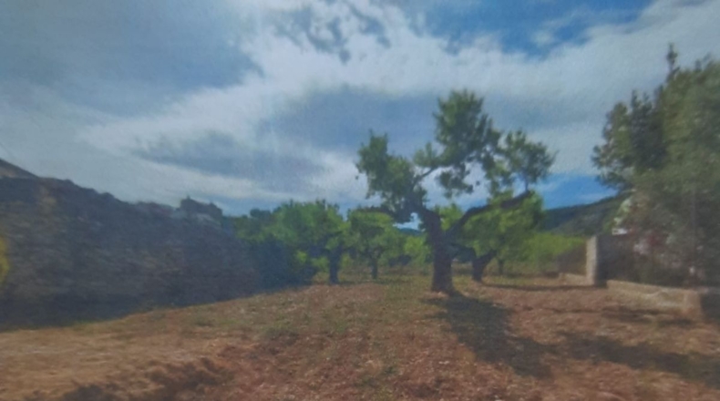 Castellón - Xert - 501m2