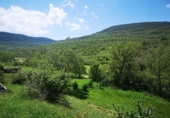 Terreno no urbanizable en venta en Sant Mateu ref: TR81841 foto