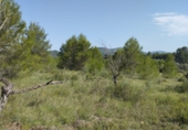 Terreno no urbanizable en venta en Sant Mateu ref: TR81841 foto