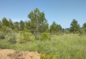 Terreno no urbanizable en venta en Sant Mateu ref: TR81841 foto