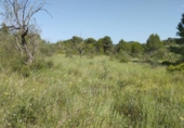 Terreno no urbanizable en venta en Sant Mateu ref: TR81841 foto