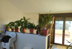 Foto 17