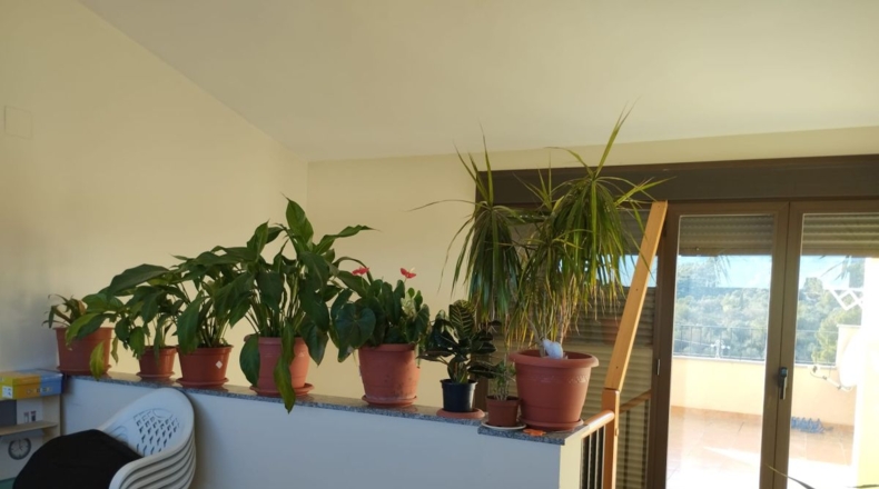 Castellón - Chert - 180m2