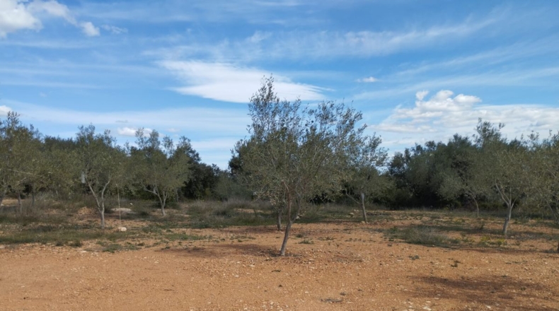 Castellón - Traiguera - 3494m2