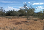 Non-developable land for sale in Traiguera ref: TR106299 photo