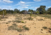 Non-developable land for sale in Traiguera ref: TR106299 photo