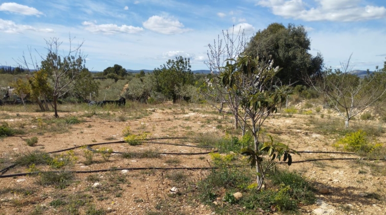 Castellón - Traiguera - 3494m2