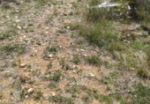Non-developable land for sale in Traiguera ref: TR106299 photo
