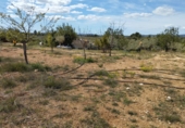 Non-developable land for sale in Traiguera ref: TR106299 photo