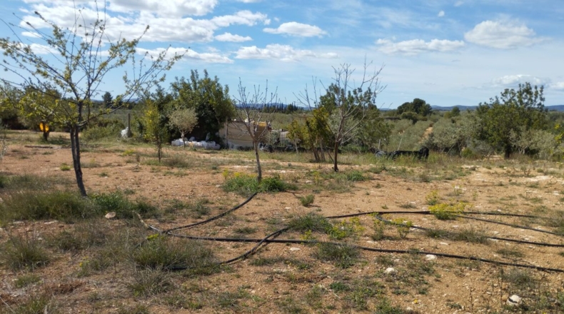Castellón - Traiguera - 3494m2