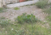 Suelo urbano en venta en Xert ref: TR180907 foto